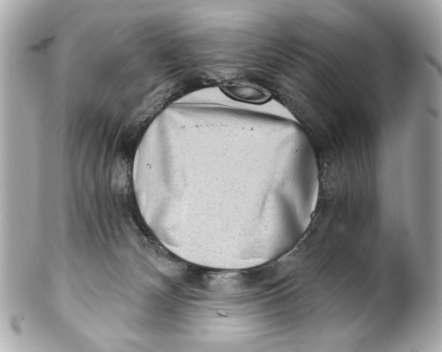 X0000101650132200807311421