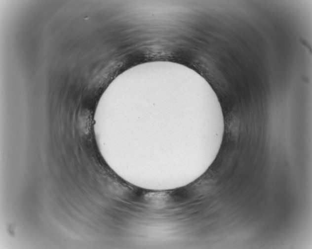 X0000101650133200807311421