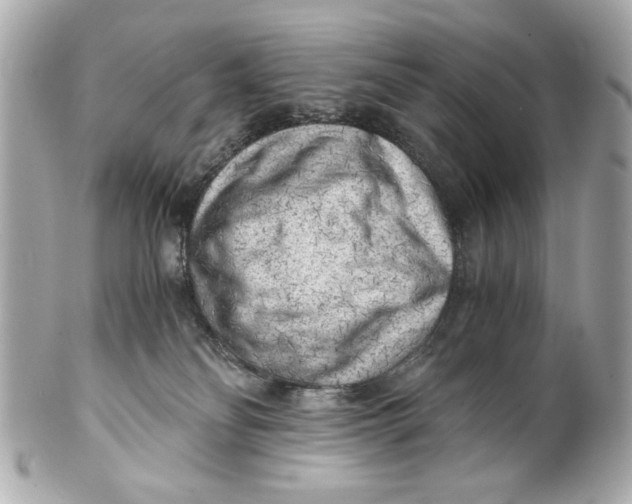 X0000101650134200807311421