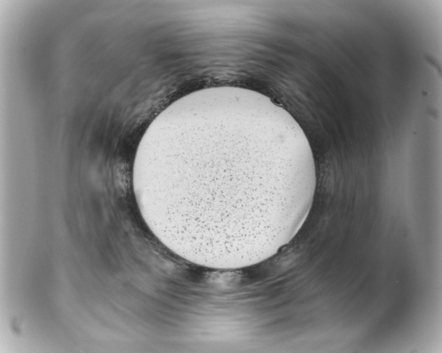 X0000101650135200807311421