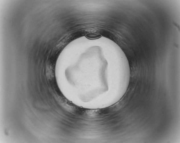 X0000101650136200807311421
