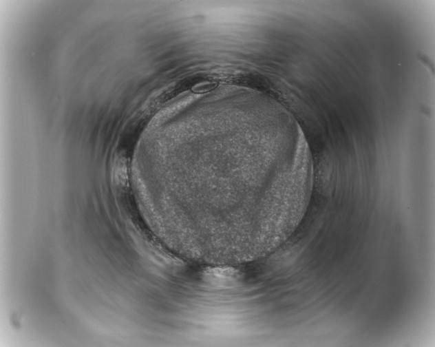 X0000101650137200807311421