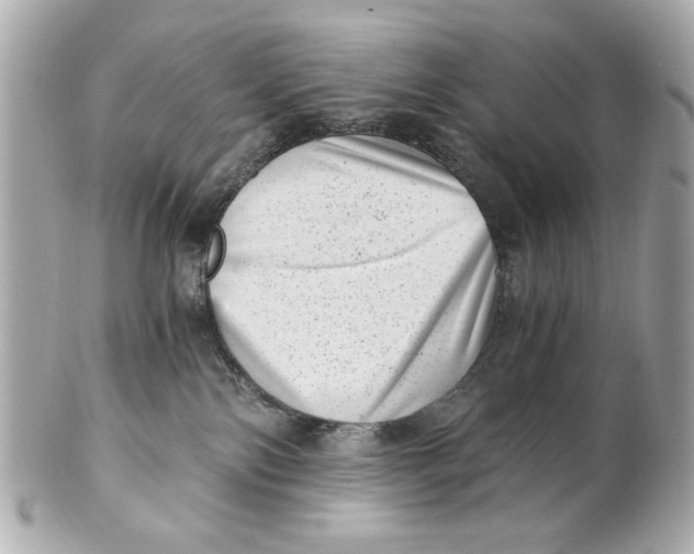 X0000101650138200807311421