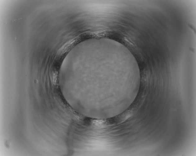 X0000101650139200807311421