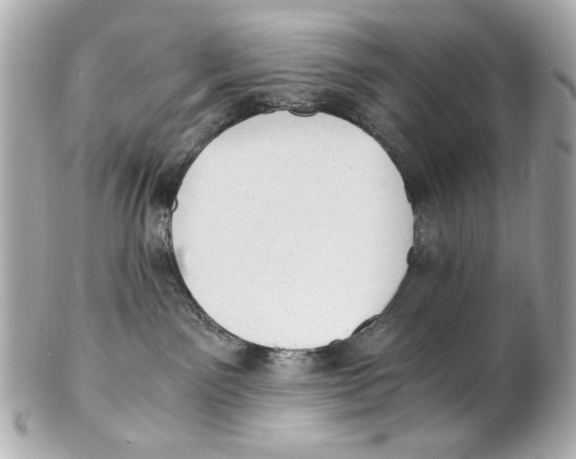X0000101650141200807311421