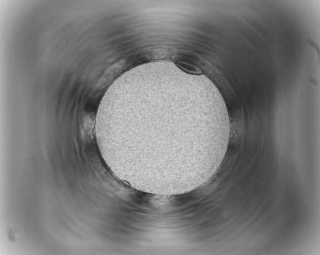 X0000101650142200807311421