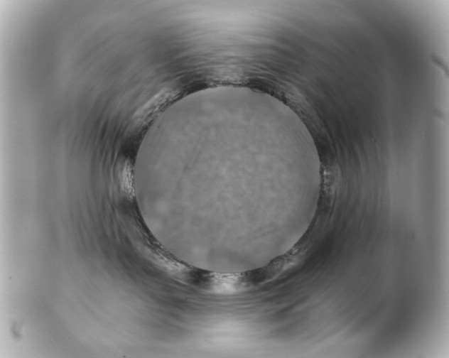 X0000101650143200807311421
