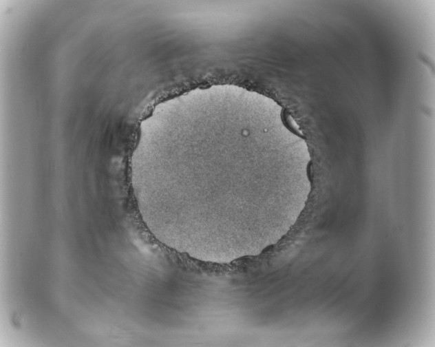 X0000101650144200807311421