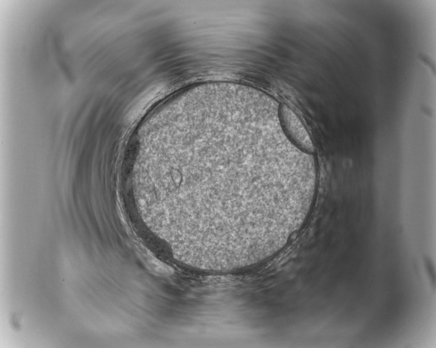 X0000101650145200807311420