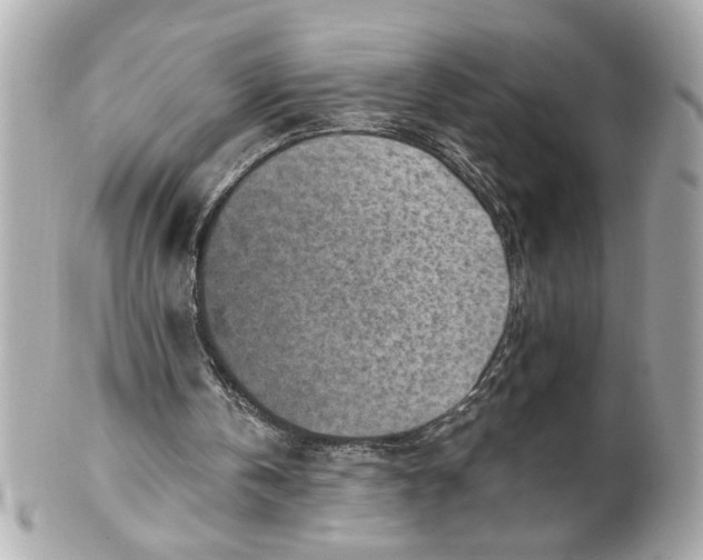 X0000101650146200807311420