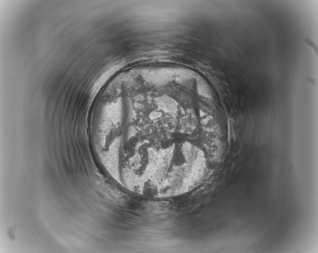X0000101650147200807311420