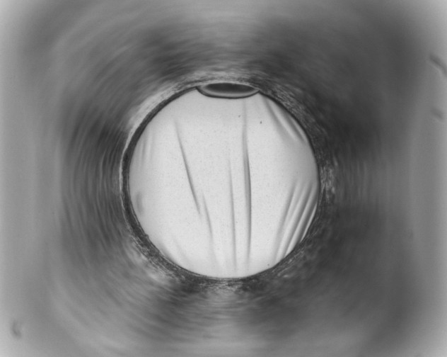 X0000101650148200807311421