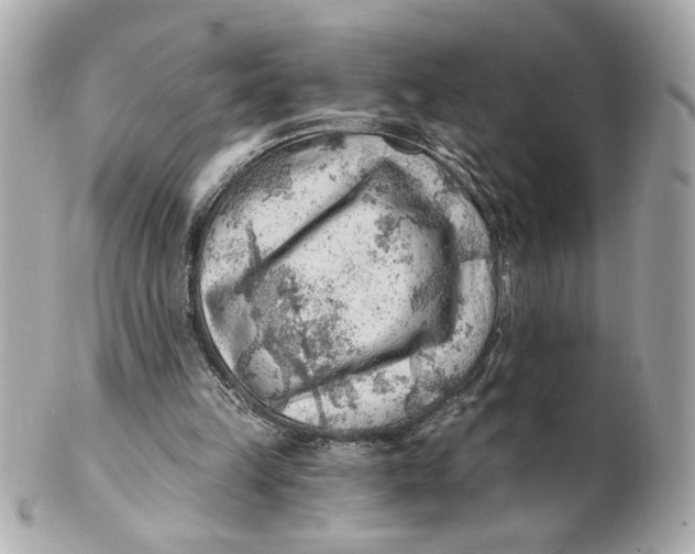 X0000101650149200807311421