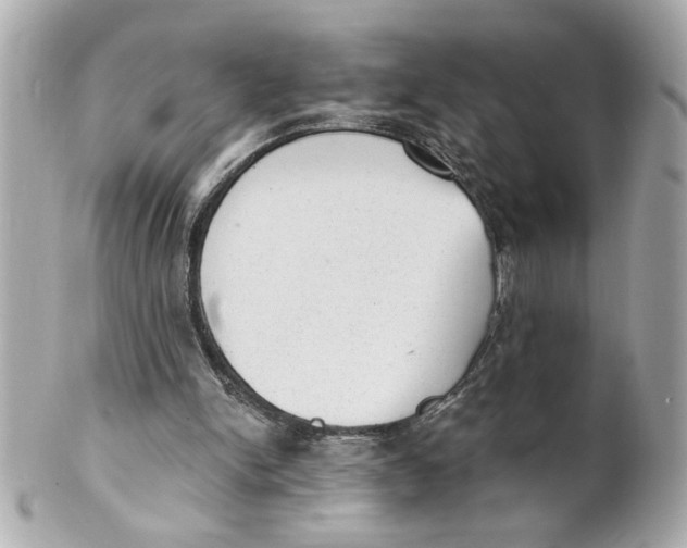 X0000101650150200807311421