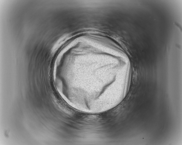 X0000101650151200807311421
