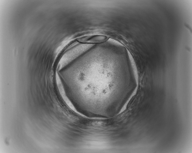 X0000101650152200807311421