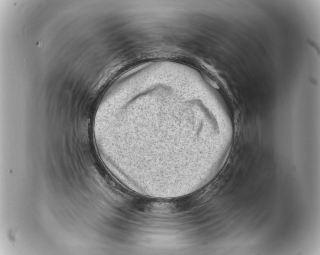 X0000101650154200807311421