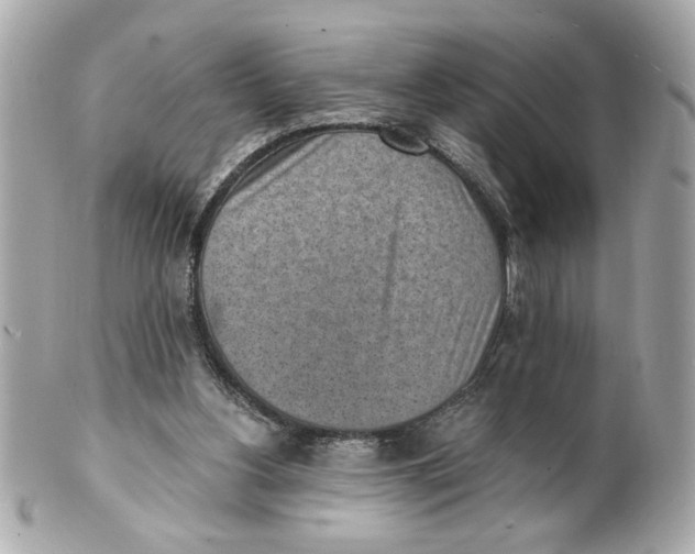 X0000101650156200807311421