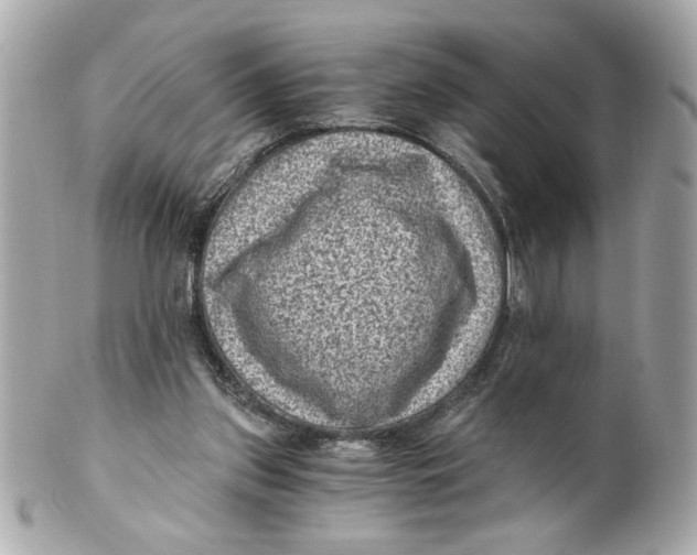 X0000101650157200807311421