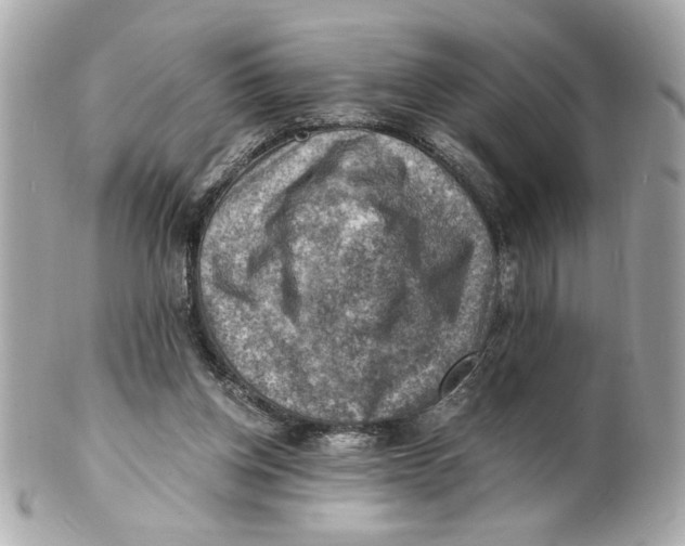 X0000101650158200807311421