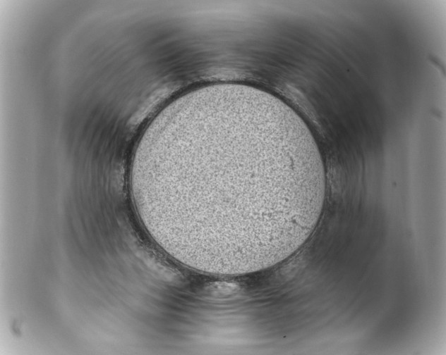X0000101650159200807311421