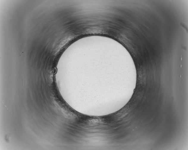 X0000101650160200807311421