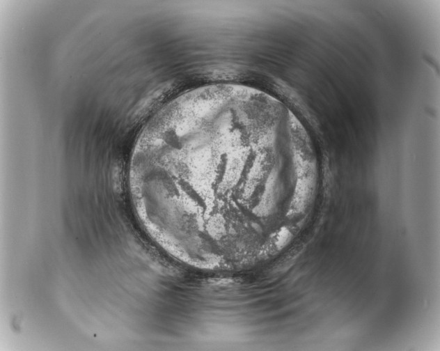 X0000101650161200807311421