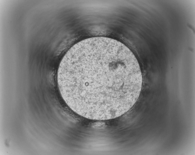 X0000101650162200807311421