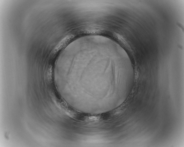 X0000101650163200807311421