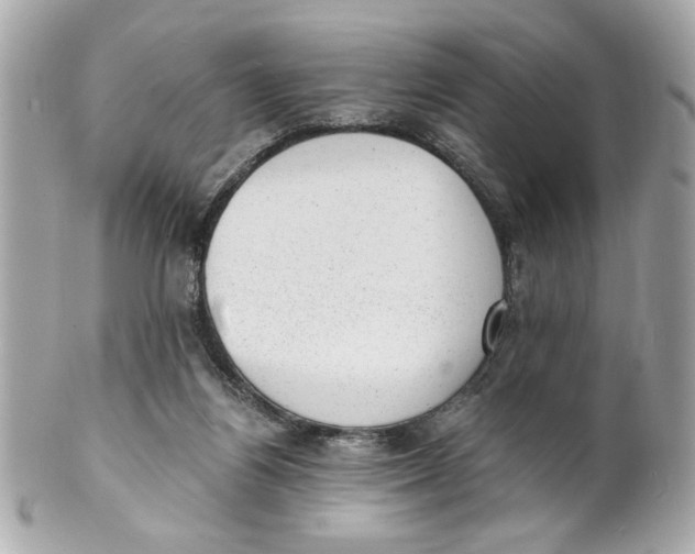 X0000101650164200807311421