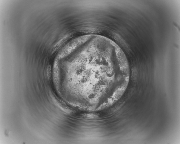 X0000101650165200807311421