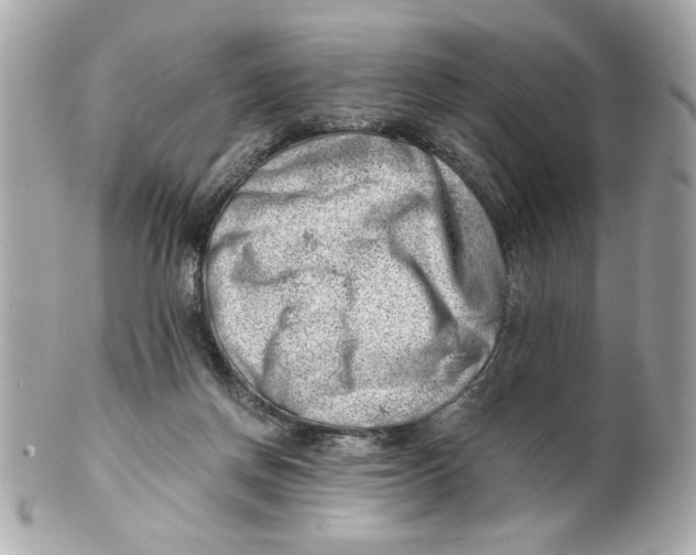 X0000101650166200807311421