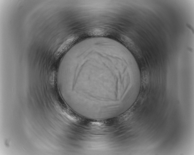 X0000101650167200807311421