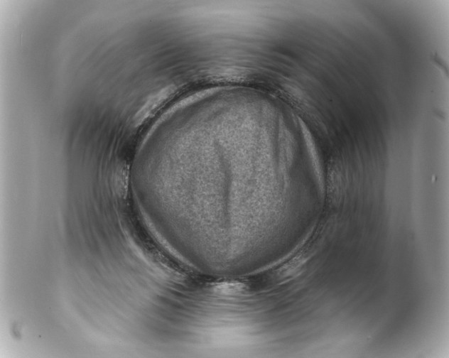 X0000101650168200807311421