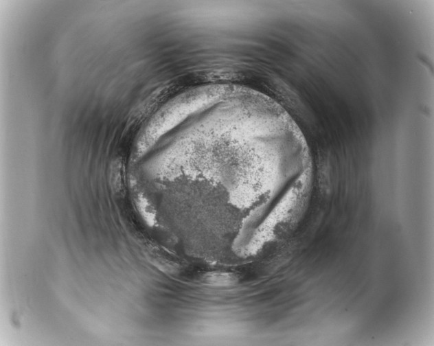 X0000101650169200807311421