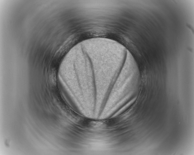 X0000101650170200807311421