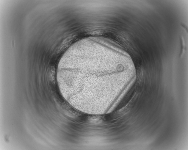 X0000101650175200807311421