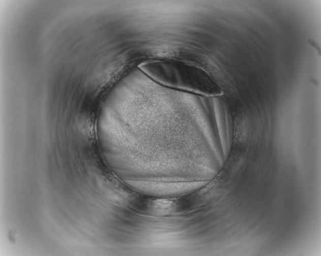 X0000101650176200807311421