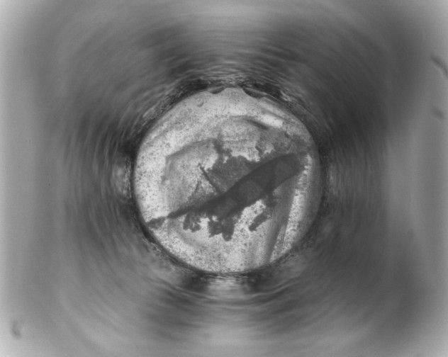 X0000101650177200807311421