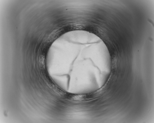 X0000101650178200807311421