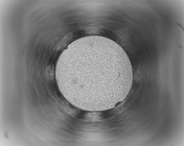 X0000101650179200807311421