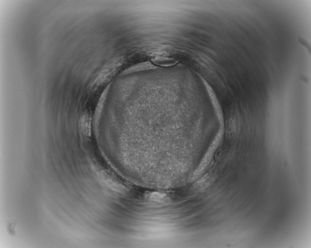 X0000101650180200807311421