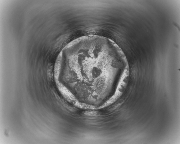 X0000101650181200807311421