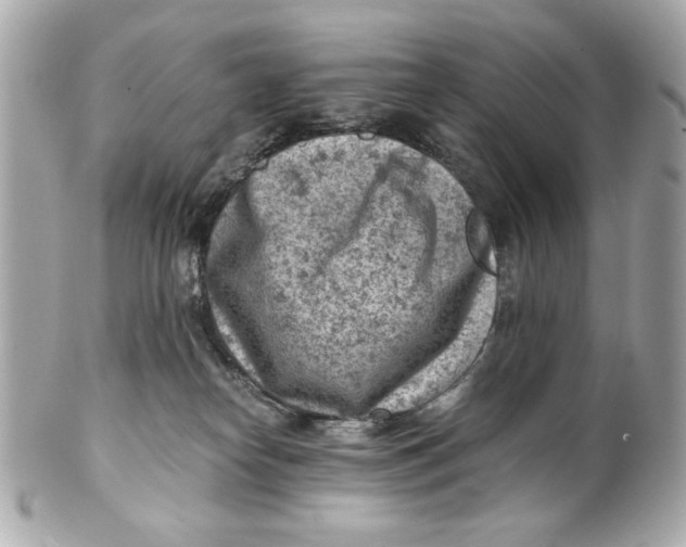 X0000101650182200807311421