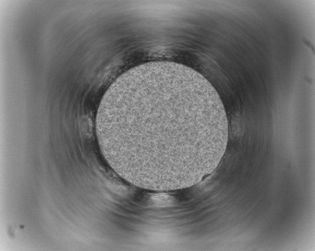 X0000101650183200807311421
