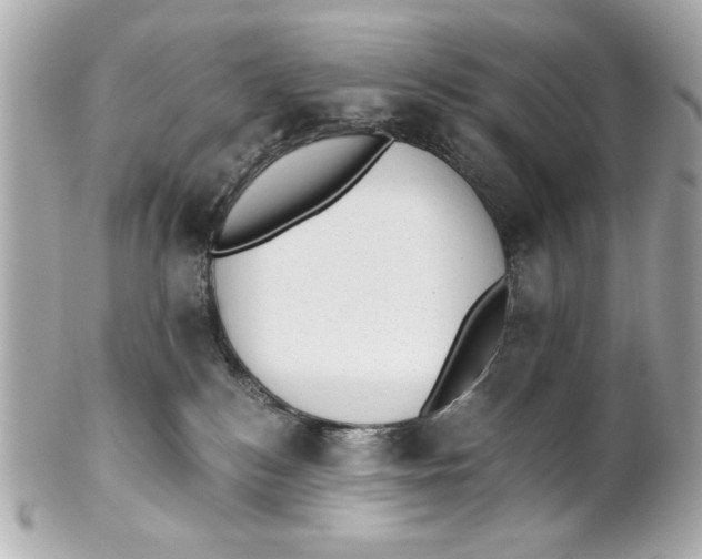 X0000101650184200807311421