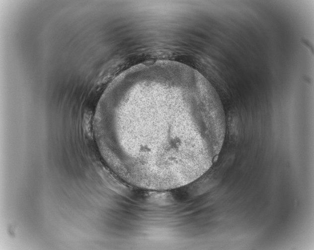X0000101650185200807311421