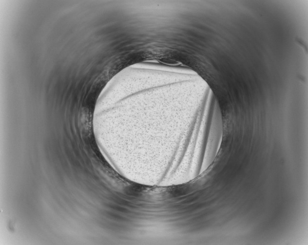 X0000101650186200807311421