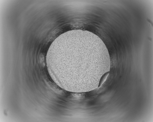 X0000101650187200807311421