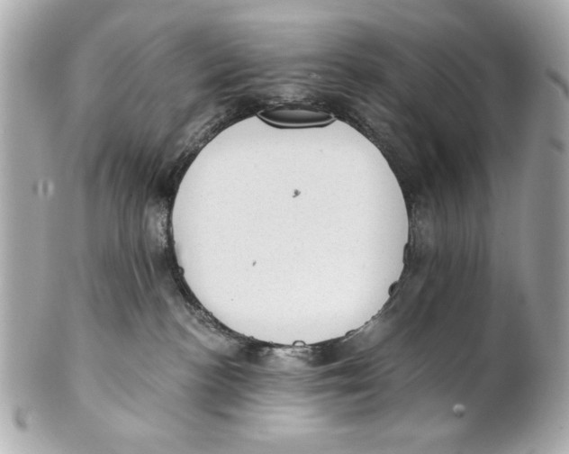 X0000101650188200807311421